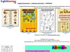 Animals Interactive Animals Interactive