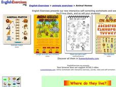 Animal Homes Interactive Animal Homes Interactive