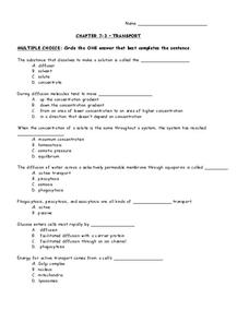 Transport Worksheet Transport Worksheet
