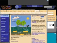 Traveling Nitrogen Lesson Plan Traveling Nitrogen Lesson Plan