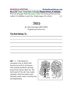 Trees Worksheet Trees Worksheet
