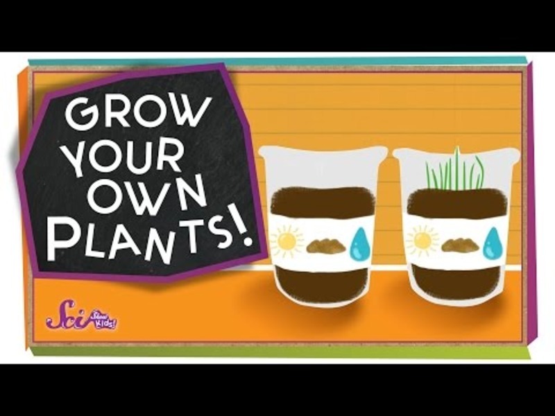Grow Your Own Plants! - #sciencegoals Instructional Video Grow Your Own Plants! - #sciencegoals Instructional Video