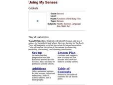 Using My Senses Lesson Plan Using My Senses Lesson Plan