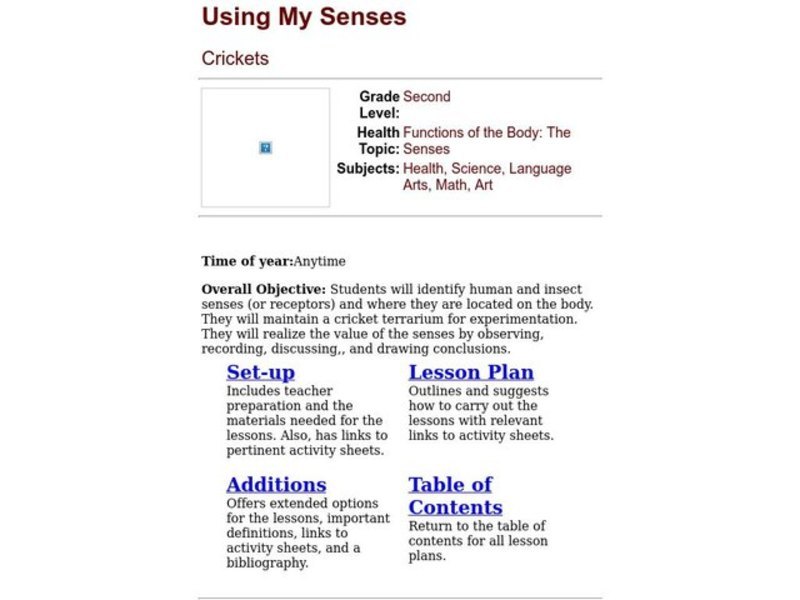Using My Senses Lesson Plan Using My Senses Lesson Plan