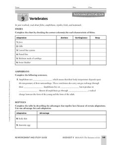Vertebrates Worksheet Vertebrates Worksheet