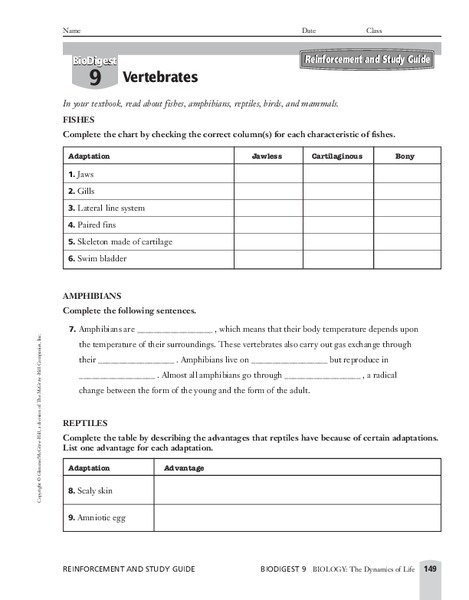 Vertebrates Worksheet Vertebrates Worksheet