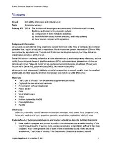 Viruses Lesson Plan Viruses Lesson Plan