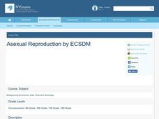Asexual Reproduction Lesson Plan Asexual Reproduction Lesson Plan
