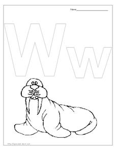 W is for Walrus Worksheet W is for Walrus Worksheet