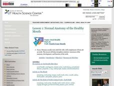 Watch Your   Mouth Lesson Plan Watch Your   Mouth Lesson Plan