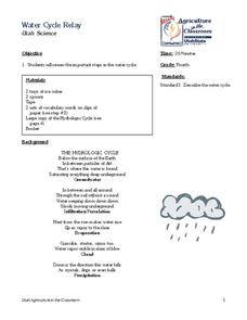 Water Cycle Relay Lesson Plan Water Cycle Relay Lesson Plan