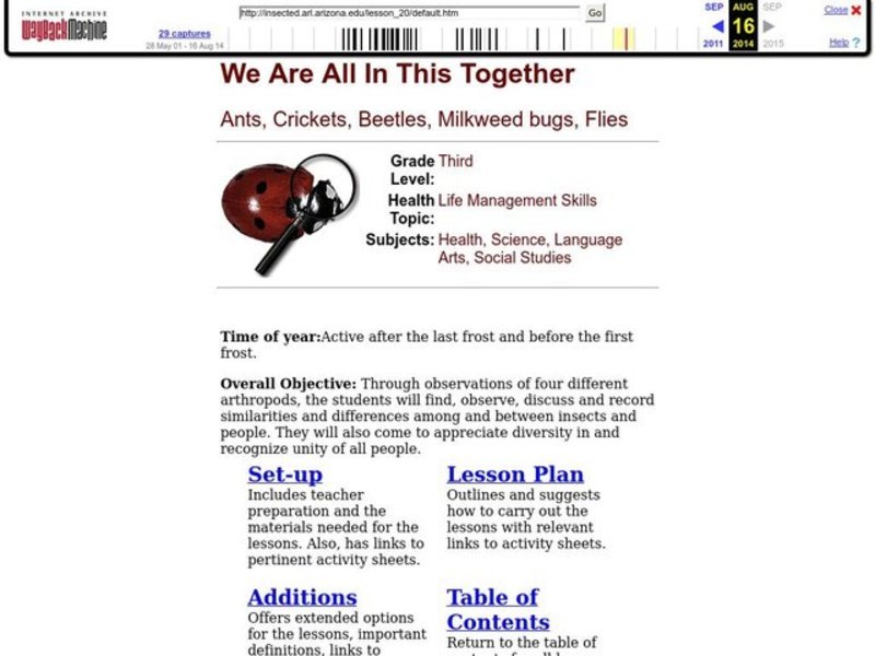 We Are All In This Together Lesson Plan We Are All In This Together Lesson Plan