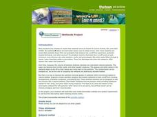 Wetlands Project Lesson Plan Wetlands Project Lesson Plan
