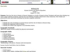Whales Lesson Plan Whales Lesson Plan
