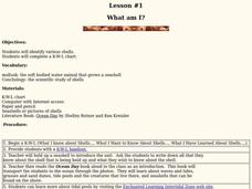 What Am I? Lesson Plan What Am I? Lesson Plan