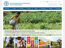 What can we do to help end hunger? Lesson Plan What can we do to help end hunger? Lesson Plan