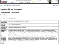 The Evolution of Canis pedatus Lesson Plan The Evolution of Canis pedatus Lesson Plan