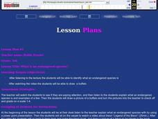 What is an Endangered Species? Lesson Plan What is an Endangered Species? Lesson Plan