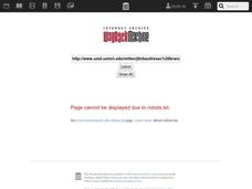 The Executive Branch Lesson Plan The Executive Branch Lesson Plan