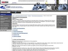 What is Inside a Seed? Lesson Plan What is Inside a Seed? Lesson Plan