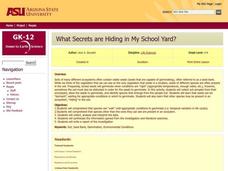 What Secrets are Hiding in My School Yard? Lesson Plan What Secrets are Hiding in My School Yard? Lesson Plan