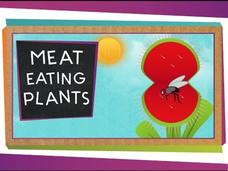 Meat-Eating Plants Instructional Video Meat-Eating Plants Instructional Video