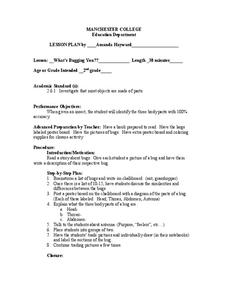 What's Bugging You? Lesson Plan What's Bugging You? Lesson Plan