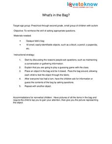 What's in the Bag? Lesson Plan What's in the Bag? Lesson Plan