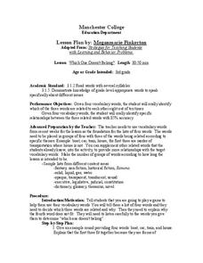 Which One Doesn't Belong? Lesson Plan Which One Doesn't Belong? Lesson Plan