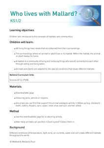 Who lives with Mallard? Lesson Plan Who lives with Mallard? Lesson Plan