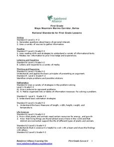 Who Takes Care of the Maya Forest Corridor? Lesson Plan Who Takes Care of the Maya Forest Corridor? Lesson Plan