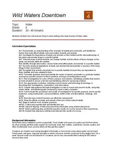 Wild Waters Downtown Lesson Plan Wild Waters Downtown Lesson Plan