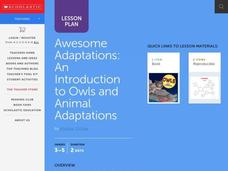 Awesome Adaptations Lesson Plan Awesome Adaptations Lesson Plan
