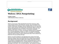 Wolves: DNA Pawprinting Worksheet Wolves: DNA Pawprinting Worksheet