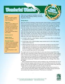 Wonderful Whales Lesson Plan Wonderful Whales Lesson Plan