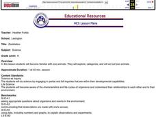 Zoobilation Lesson Plan Zoobilation Lesson Plan
