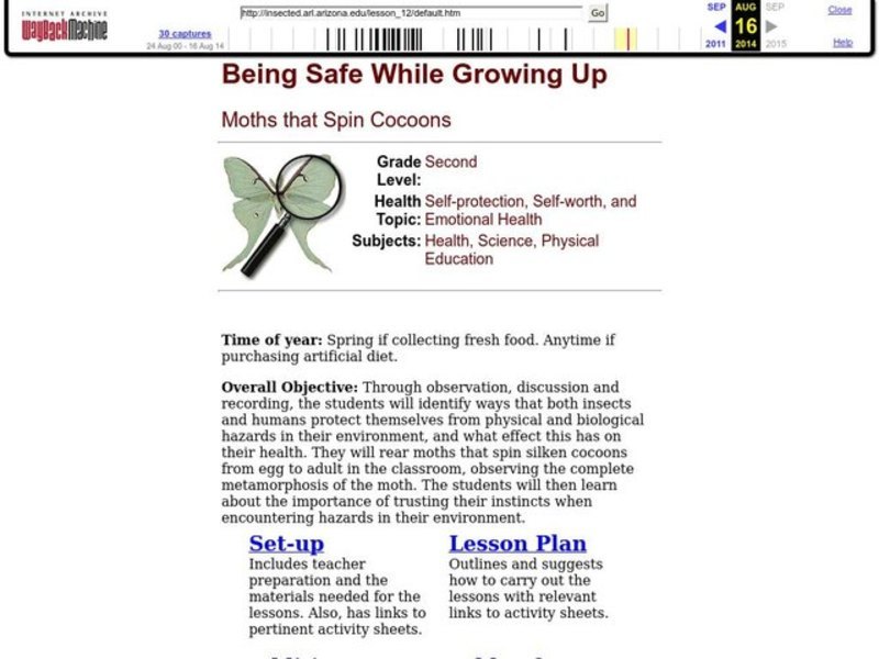 Being Safe While Growing Up Lesson Plan Being Safe While Growing Up Lesson Plan