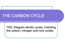 The Carbon Cycle PPT The Carbon Cycle PPT