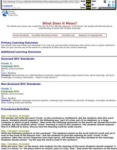 What Does It Mean? Lesson Plan What Does It Mean? Lesson Plan