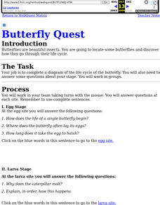 Butterfly Quest Interactive Butterfly Quest Interactive