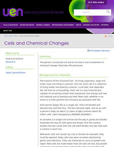 Cells and Chemical Changes Lesson Plan Cells and Chemical Changes Lesson Plan