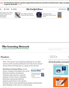 Safety in Numbers Lesson Plan Safety in Numbers Lesson Plan