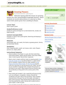 Growing Flowers Lesson Plan Growing Flowers Lesson Plan