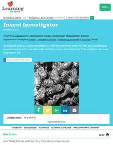 Insect Investigator Lesson Plan Insect Investigator Lesson Plan