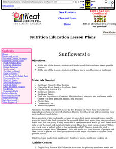 Sunflowers Lesson Plan Sunflowers Lesson Plan