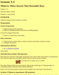 Mimicry: Other Insects That Resemble Bees Lesson Plan Mimicry: Other Insects That Resemble Bees Lesson Plan
