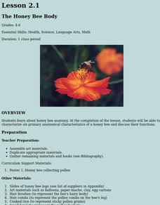 The Honey Bee Body Research Lesson Plan The Honey Bee Body Research Lesson Plan