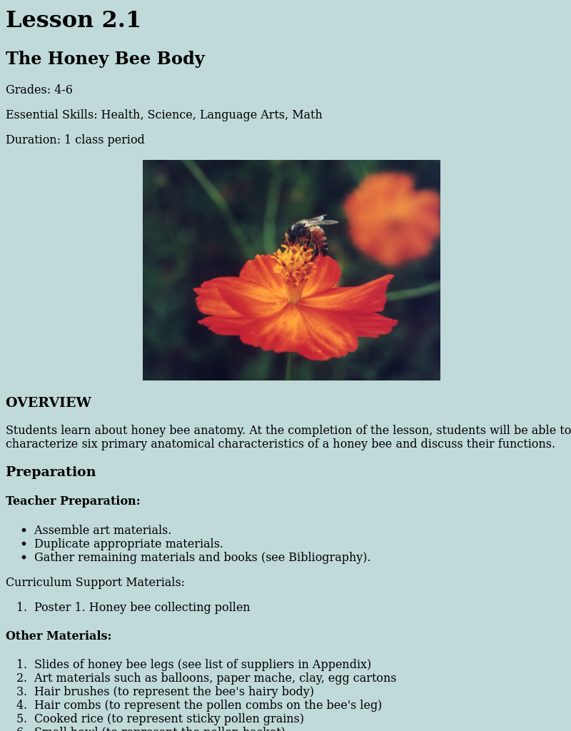The Honey Bee Body Research Lesson Plan The Honey Bee Body Research Lesson Plan