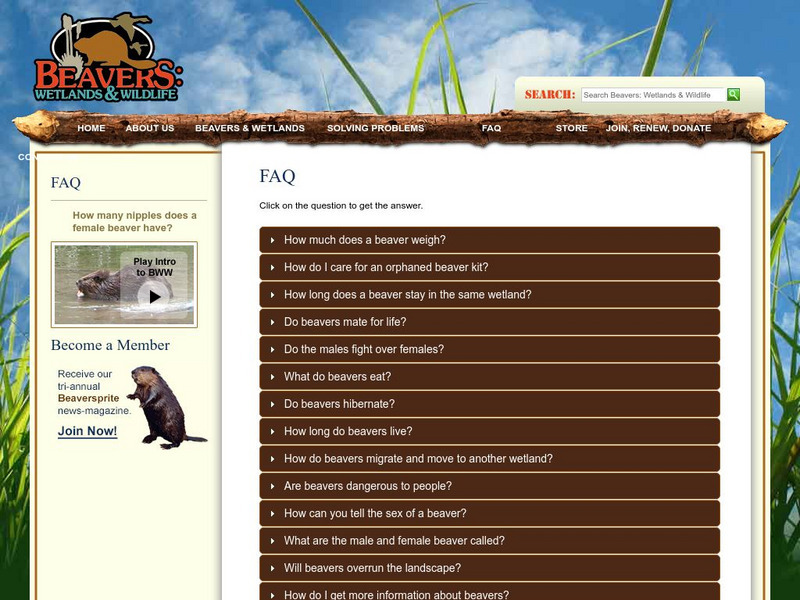 Beavers: Frequently Asked Questions & Answers Handout Beavers: Frequently Asked Questions & Answers Handout