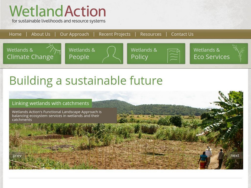 The Importance of Wetlands Website